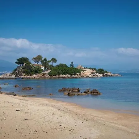 Porticcio - Tres Jolie Avec Piscine Alzone 15 *